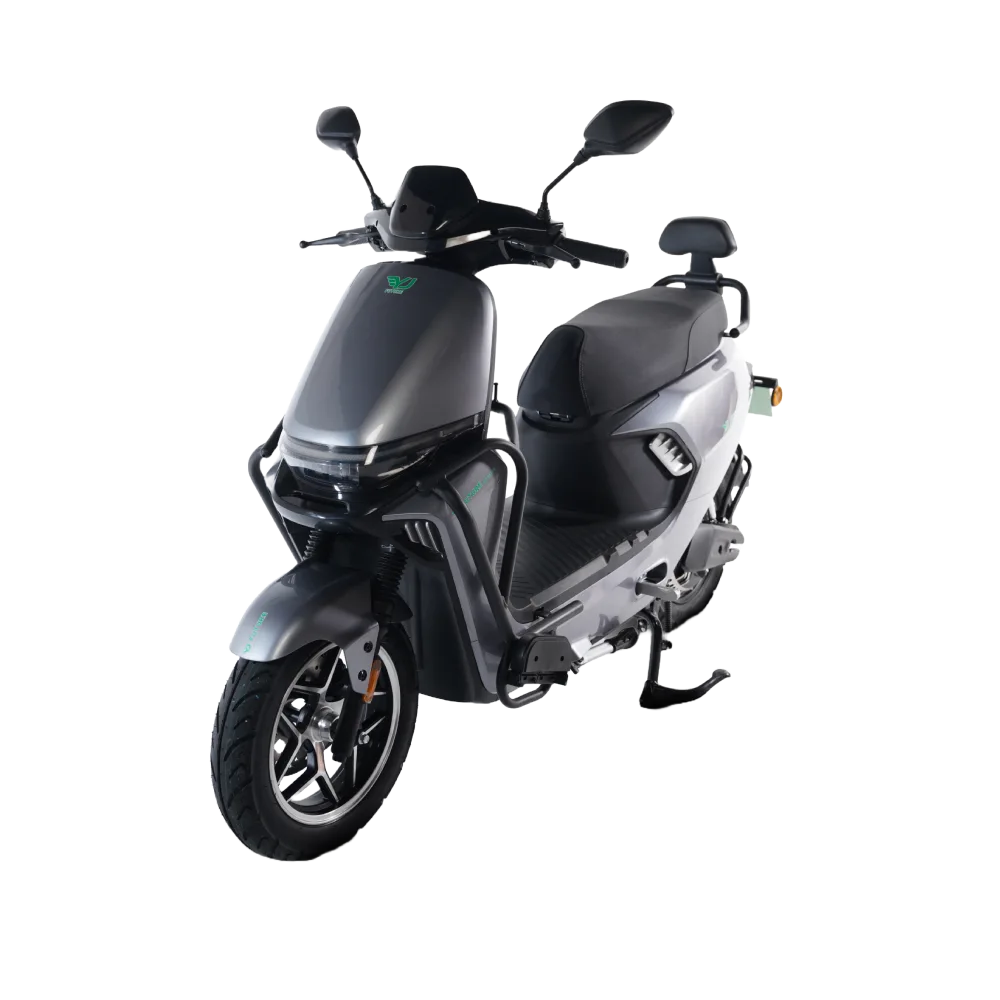 Cruise Z9 (Silver)